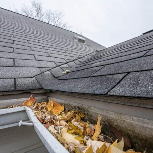 Rain gutter full of leaves