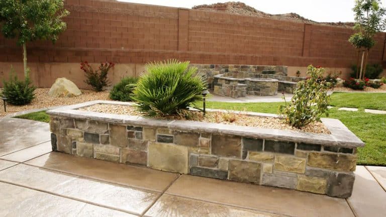 backyard landscape